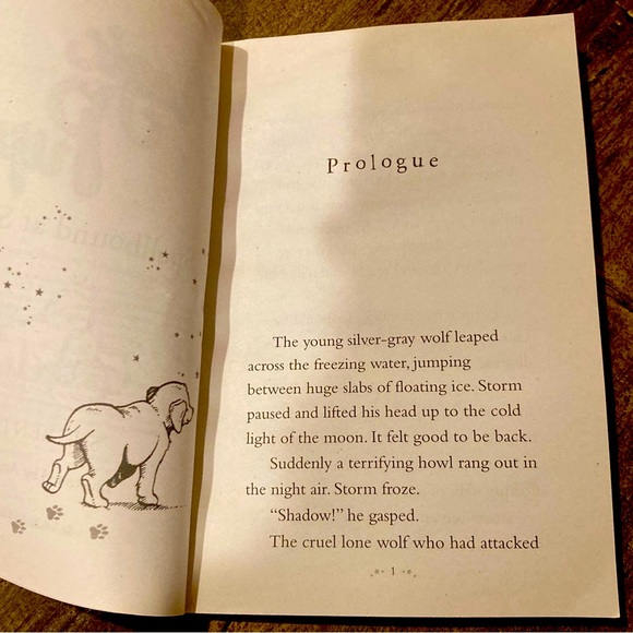 Magic Puppy Spellbound at School by Sue Bentley - Picture 3 of 3